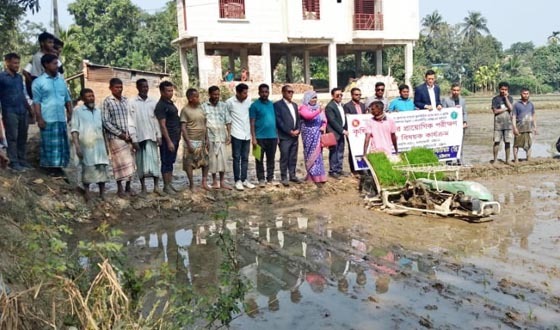 এলএসটিডি প্রকল্পের উদ্যোগে চট্টগ্রামে আধুনিক ধান চাষ