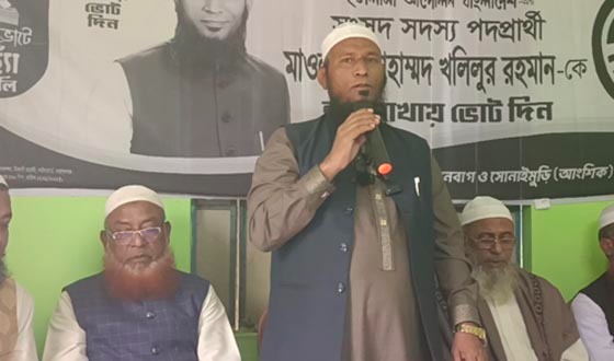 সেনবাগে হাতপাখার প্রার্থীর সংবাদ সম্মেলন