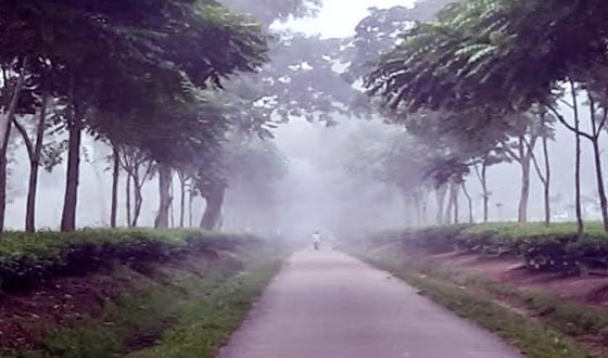 চারদিন ধরে শ্রীমঙ্গলে সর্বনিম্ন তাপমাত্রা