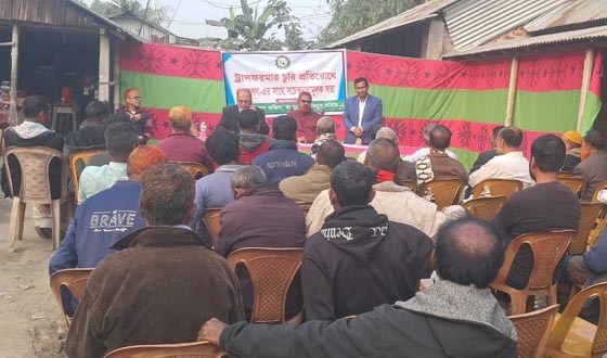 পল্লী বিদ্যুৎ সমিতির আয়োজনে হ্যাঁ ভোটের প্রচারণা