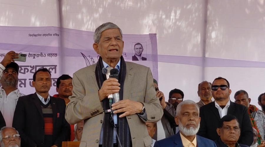 হাসিনা পালানোর পর আমরা উন্নয়নের কাজ শুরু করেছি : মির্জা ফখরুল