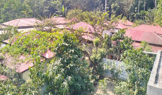 নেতার জমি দখল করে নির্মান করা হয় আশ্রয়নের ঘর