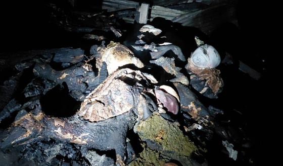 বাবুগঞ্জে পুড়ল বসতঘর, মারা গেল ৩ গরু ও ২১ ছাগল