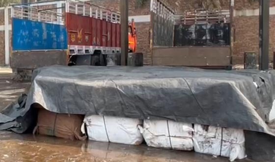 বেনাপোলে মিথ্যা ঘোষনায় আমদানি করা রুই মাছ জব্দ