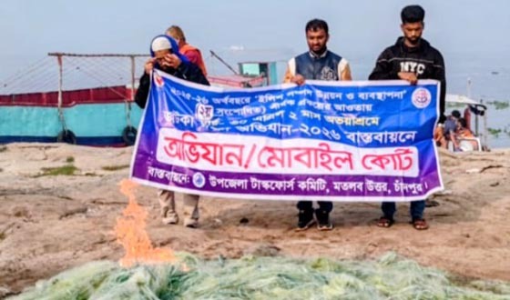 চাঁদপুরে অভয়াশ্রম ও জাটকা রক্ষা অভিযান, ৪ জেলের কারাদণ্ড