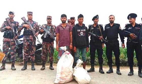বিরল সীমান্তে আসামীসহ ভারতীয় স্কাফ সিরাপ আটক
