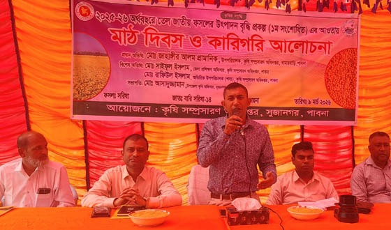 সুজানগরে সরিষা ফসলের মাঠ দিবস ও কারিগরি আলোচনা সভা