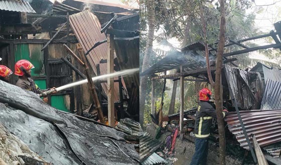 মতলবে অগ্নিকাণ্ডে পাঁচ দোকানঘর ভস্মীভূত