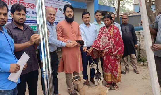পোরশায় ক্ষুদ্র নৃ-গোষ্ঠির মাঝে ছাগী বিতরণ