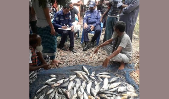 চিরিরবন্দর বিষ প্রয়োগে মাছ নিধনের অভিযোগ