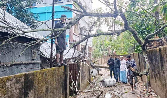 কমলগঞ্জে  কালবৈশাখি ঝড়ে বিদ্যুতের খুঁটি ভেঙ্গে ট্রান্সফরমার ক্ষতিগ্রস্ত