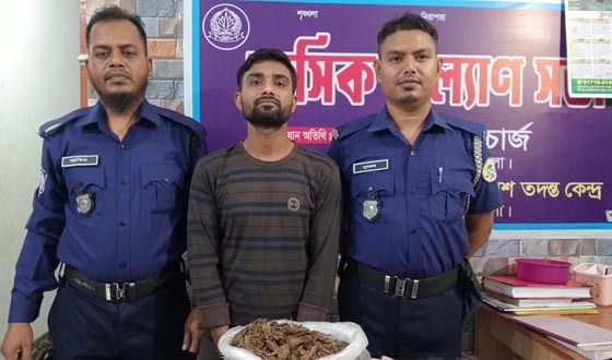 লালমোহনে ১ কেজি গাঁজাসহ যুবক আটক