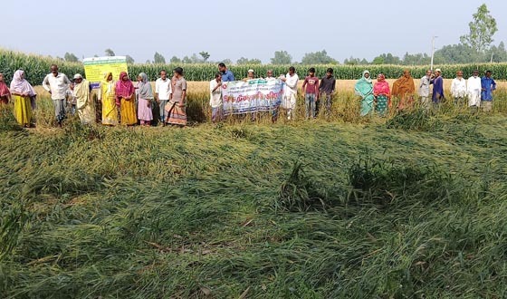 রাণীশংকৈলে আধুনিক প্রযুক্তি ব্যবহারে টেকনোলজি ওরিয়েন্টশন
