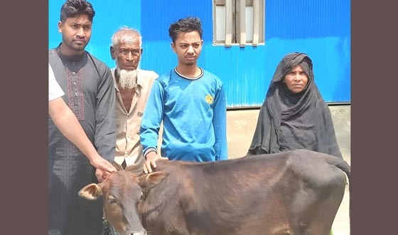 দৌলতখানে দুস্থ পরিবারকে গরু দিয়ে প্রশংসায় ভাসলেন সৌদি প্রবাসী