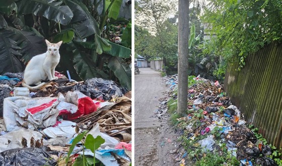 বাজিতপুরে আনাচে-কানাচে ফেলছে ময়লা, পরিবেশ দূষিত হচ্ছে