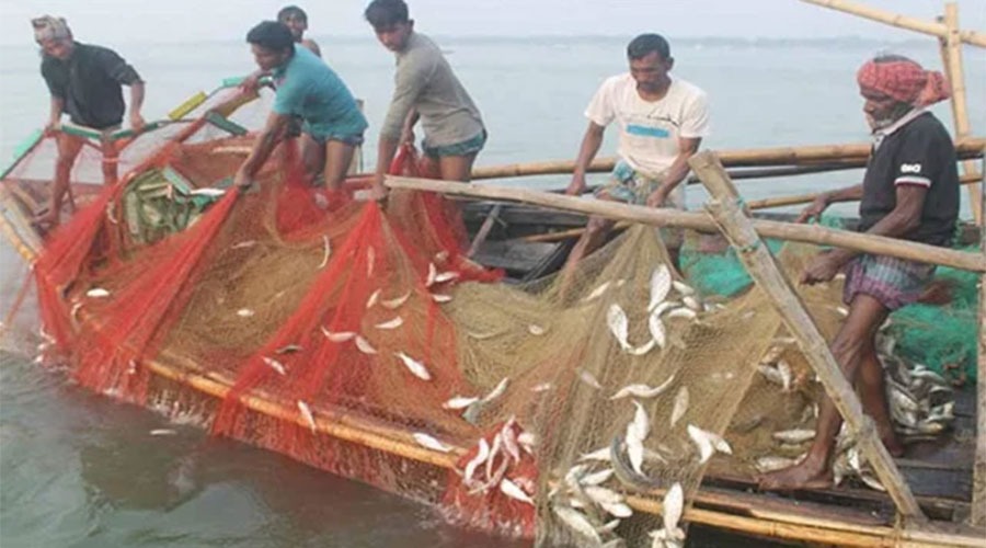 পদ্মা-মেঘনায় নিষেধাজ্ঞা শেষ, রাত থেকেই নদীতে মাছ ধরা শুরু