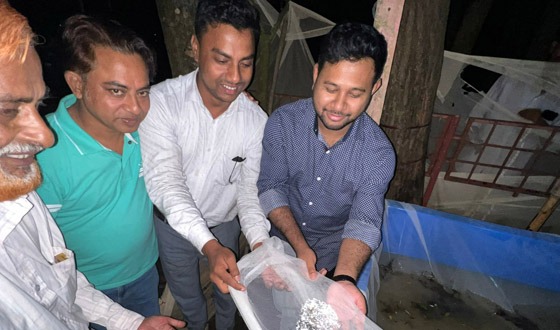 রেণু ফুটাতে ব্যস্ত সংগ্রহকারীরা