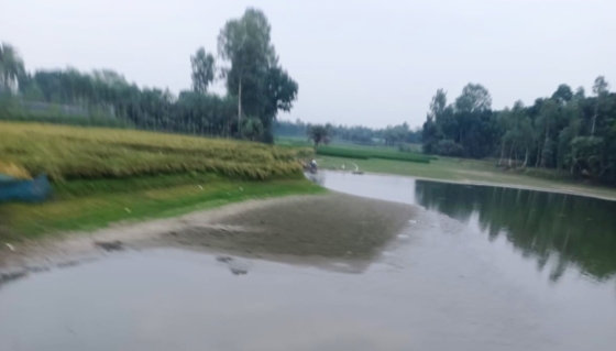 বাগমারায় বাবা-ছেলের কবজায় ২১ কৃষকের জমি, দখল করে মাছচাষ