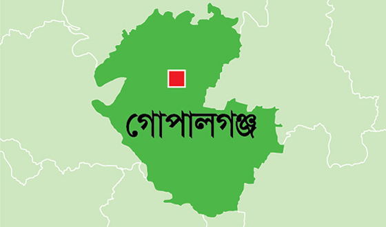 মুকসুদপুরে গণপিটুনিতে গরু চোরের মৃত্যু, ১৯৩ জনের নামে মামলা