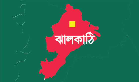 নানা আয়োজনে ঝালকাঠিতে বর্ষবরণ