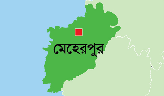 মেহেরপুরে বিলে শাপলা তুলতে গিয়ে ৪ স্কুলশিক্ষার্থীর মর্মান্তিক মৃত্যু