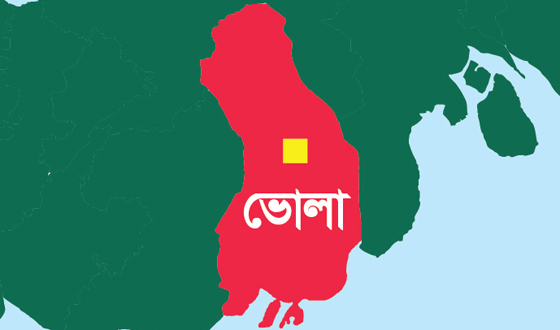 তজুমদ্দিনে সাঁপের কামড়ে কৃষকের মৃত্যু