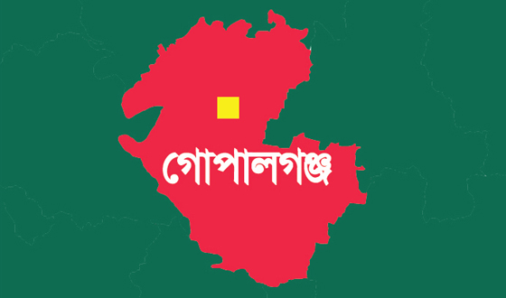 মুকসুদপুরে ব্যাডমিন্টন খেলাকে কেন্দ্র করে কিশোর নিহত