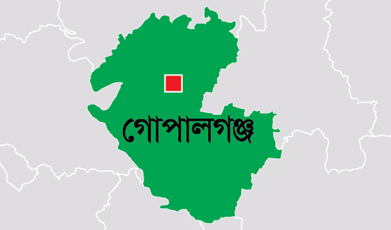 মুকসুদপুরে গণপিটুনিতে গরু চোরের মৃত্যু, ১৯৩ জনের নামে মামলা