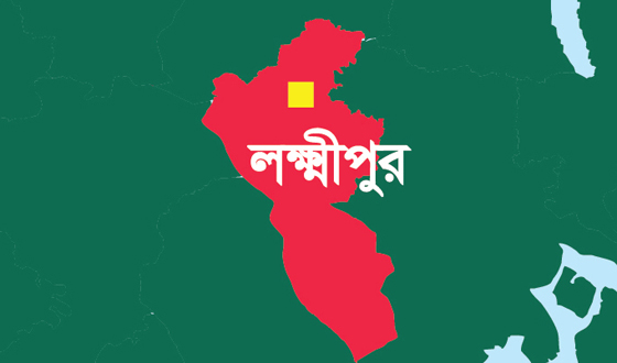 রামগতিতে হাট-বাজার ইজারা সিন্ডিকেটের কবলে, রাজস্ব হারাচ্ছে সরকার