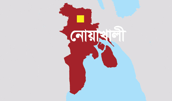 সেনবাগে অসংখ্য গাছপালার ক্ষতি, ২৩ ঘন্টা বিদু্যুৎ সরবরাহ বন্ধ